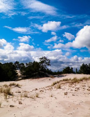 Stilo 'daki kum tepeleri, Leba. Kuzey Polonya 'nın kıyı bölgesi.