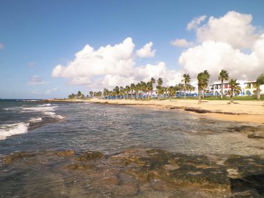 Kıbrıs Adası, Paphos 'taki sahil bölgesi. Palmiyeler, sahil ve tropikal iklim. Egzotik tatil kavramı