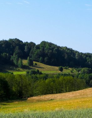 Wiezyca, Kashubian Bölgesi, Polonya 'da çayır ve tepelerin manzarası. Turizm ve keşif kavramı.