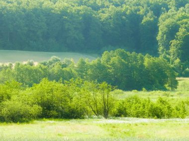 Wiezyca, Kashubian Bölgesi, Polonya 'da çayır ve tepelerin manzarası. Turizm ve keşif kavramı.