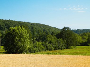 Polonya 'nın Kashubian bölgesinde, Wiezyca' nın arazi ve tepeleri. Tarım ve keşif kavramı.