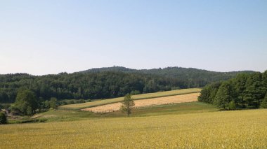 Tepeler, tarlalar ve çayırlar. Wiezyca 'nın güzel manzarası, Kashubia Bölgesi, Kuzey Polonya. Boşluğu mavi gökyüzünde kopyala.