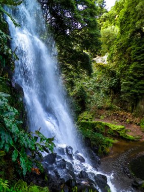 Small river at Botanical Garden of Ribeira do Guilherme S Miguel Island Wild exotic nature of Azores arhipelago.