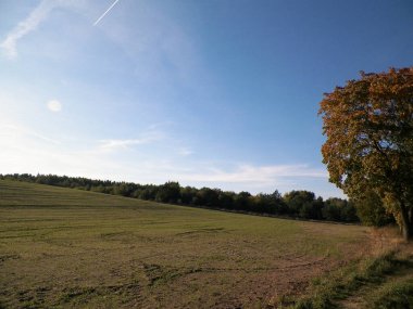 Yaz sonu - sonbahar ağaçları ve tarlalar. Polonya doğası. Mavi gökyüzündeki boşluğu kopyala. Mechelinki, Polonya.