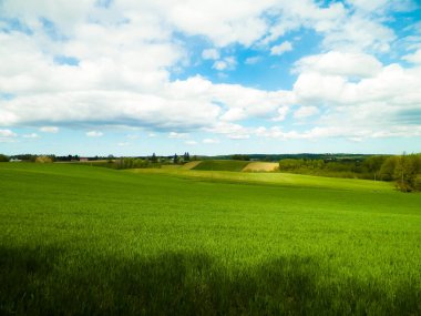 Kashubia bölgesindeki yeşil alanlar, Kuzey Polonya. Bulutlu bir gün, seyahat ve doğa konsepti.