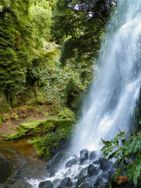 Ribeira Botanik Bahçesi 'ndeki büyük şelale Guilherme So Miguel Adası' nda. Azores arhipelagosunun vahşi egzotik doğası.