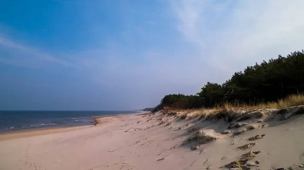 Балтійське Узбережжя Сонячний День Лази Польща Подорожує Має Природну Концепцію — стокове фото