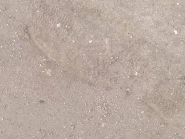 背景として地面に足跡 スペースのコピー — ストック写真