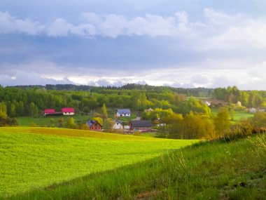 Yeşil tarla ve tepeler. Kuzey Polonya doğası. Seyahat ve doğa kavramı.