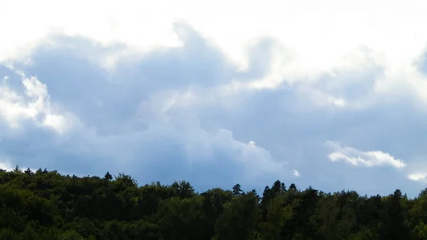 Абстрактное Фото Лес Облачное Небо Копирование Пространства — стоковое фото