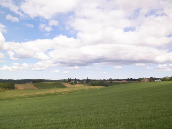 Panoramisch Uitzicht Een Groene Weide Een Blauwe Lucht — Stockfoto