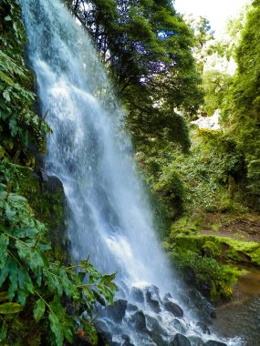 Ribeira Botanik Bahçesi 'ndeki büyük şelale Guilherme So Miguel Adası' nda. Azores arhipelagosunun vahşi, egzotik doğası.
