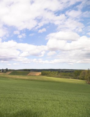 Meadowin Kashubia - Kuzey Polonya, Kashubian Bölgesi 'nin tipik manzarası. Seyahat ve doğa kavramı.