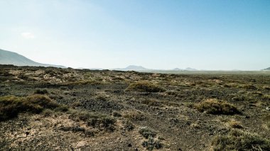 Çöl manzarası, Lanzarotte, Kanarya Adaları. Çöl, Lanzarote adasındaki tipik bir manzaradır. Seyahat ve doğa kavramı.