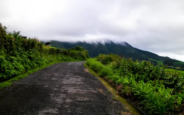 Dağ Yolu Sao Miguel Azores Adaları Atlantik Okyanusu Ndaki Küçük — Stok fotoğraf