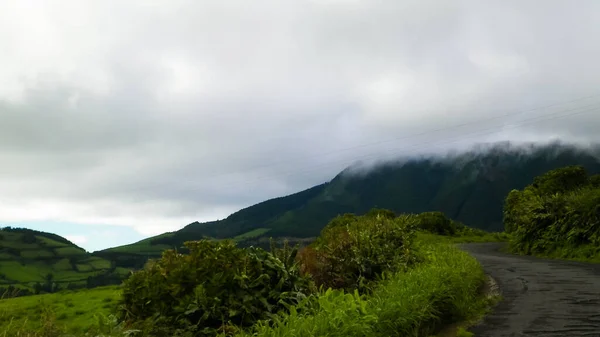 Road Mountain Area Sao Miguel Azores Islands Beautiful Nature Small — Stock Photo, Image