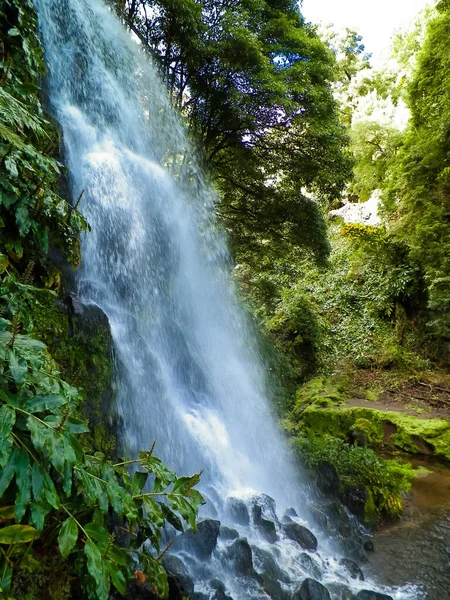Ribeira Botanik Bahçesi 'ndeki büyük şelale Guilherme So Miguel Adası' nda. Azores arhipelagosunun vahşi, egzotik doğası.