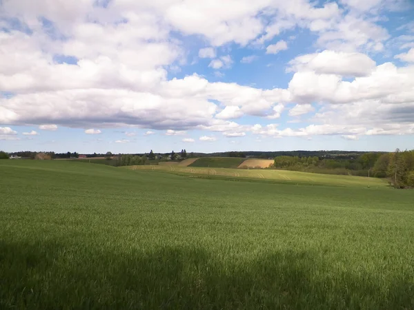 Meadowin Kaszuba Typowy Krajobraz Regionu Kaszubskiego Polska Północna Pojęcie Podróży — Zdjęcie stockowe