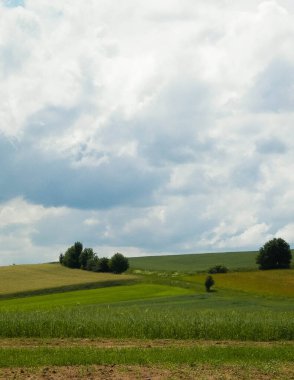 Wiezyca Bölgesi, Pomerania, Kashubia, Polonya 'nın güzel tepeleri ve çayır manzarası.