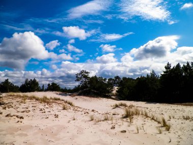 Stilo 'daki kum tepeleri, Leba. Kuzey Polonya 'nın kıyı bölgesi.
