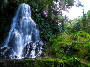 Ribeira Botanik Bahçesi 'ndeki şelale Guilherme do Miguel Adası, Azores arhipelago. Doğanın güzelliği konsepti.