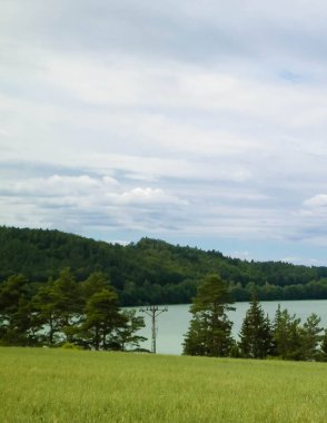 Field ve Ostrzyckie Gölü arka planda. Wiezyca Doğa, Kashubian Bölgesi, Polonya. Doğa, seyahat ve tarım kavramı.