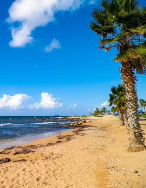 Paphos City yakınlarındaki tropik plaj, Kıbrıs adası. Boşluğu mavi gökyüzünde kopyala - bir kartpostal için iyi bir arkaplan.