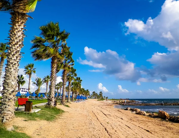 Територія Парку Пляж Пафосі Острові Кіпр Екзотичний Клімат Подорожні Концепції — стокове фото