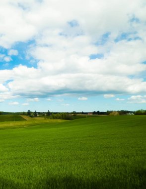 Yeşil çayır ve mavi gökyüzünün panoramik manzarası