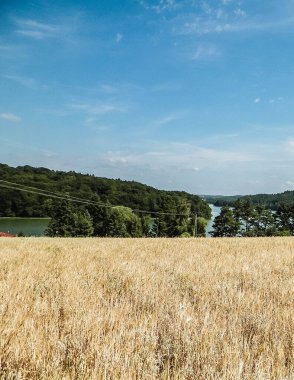 Yulaf tarlası manzarası ve Ostrzyckie Gölü, Wiezyca, Kashubian Bölgesi, Polonya. Doğa ve tarım kavramı.