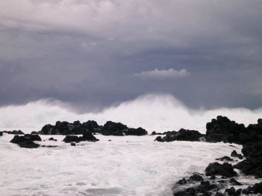 Dalgalar kayalara çarpıyor. Sao Miguel 'de rüzgarlı bir hava var, Azores. Piscinas Naturais Caneiros Doğal Parkı.