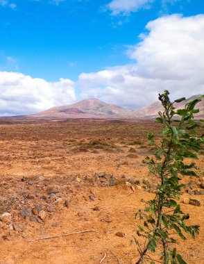 Çöl ve dağlar Lanzarote adasının tipik bir manzarasıdır. Kanarya Adaları takımadaları.