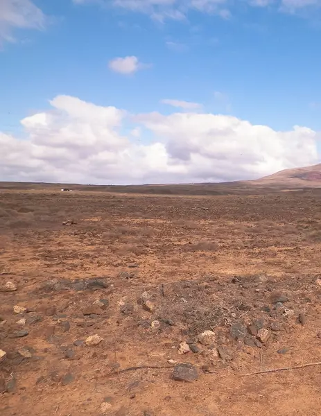 stock image Desert - Typical landscape of Lanzarote, Canary Islands. Travel and nature concept.