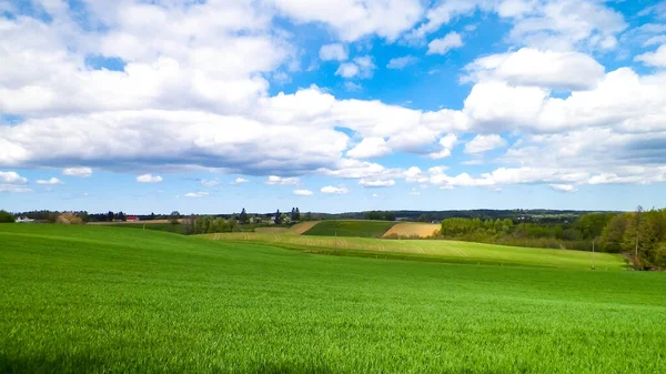 Kashubian Bölgesi, Wiezyca 'daki yeşil tarlalar ve tepeler. Wiezyca Polonya 'nın turistik bölgesidir.