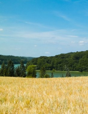 Yulaf tarlası manzarası ve Ostrzyckie Gölü, Wiezyca, Kashubian Bölgesi, Polonya. Doğa ve tarım kavramı.
