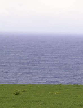 Fırtınalı havalarda deniz - yeşil çimlerde ya da bulutlu gökyüzünde kopyalama alanı.
