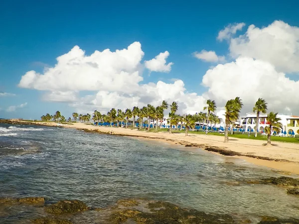 Kıbrıs Adası, Paphos 'taki sahil bölgesi. Palmiyeler, sahil ve tropikal iklim. Egzotik tatil kavramı