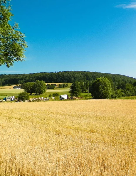 Feld Und Hügellandschaft Von Wiezyca Kaschubische Region Polen Landwirtschaft Und — Stockfoto