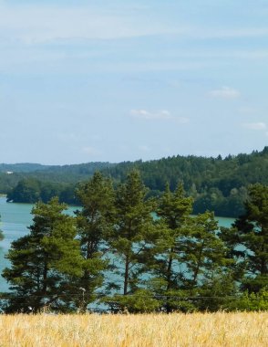 Yulaf tarlası manzarası ve Ostrzyckie Gölü, Wiezyca, Kashubian Bölgesi, Polonya. Doğa ve tarım kavramı.