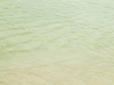 Baltık Denizi 'nin suyu doğanın arka planıdır. Boşluğu kopyala, doğa kavramı.