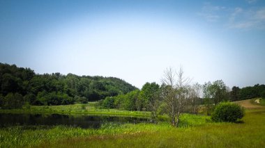 Tepeler, tarlalar ve çayırlar. Wiezyca 'nın güzel manzarası, Kashubia Bölgesi, Kuzey Polonya. Boşluğu mavi gökyüzünde kopyala.