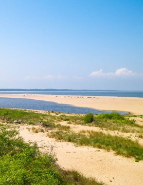 Sobieszewska Adası 'ndaki Baltık Denizi Kıyısı. Vistula Nehri 'nin kıyısında. Kuzey Polonya 'nın doğası.