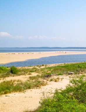Sobieszewska Adası 'ndaki Baltık Denizi Kıyısı. Vistula Nehri 'nin kıyısında. Kuzey Polonya 'nın doğası.