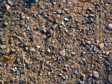 Ground and stones as a natural background. Copy space