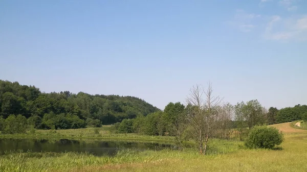 Tepeler, tarlalar ve çayırlar. Wiezyca 'nın güzel manzarası, Kashubia Bölgesi, Kuzey Polonya. Boşluğu mavi gökyüzünde kopyala.