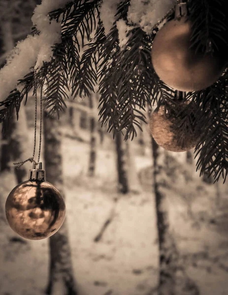 木の小枝にクリスマスボール クリスマスだ スペースのコピー — ストック写真