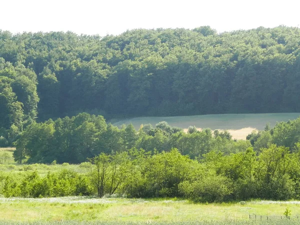 Wiezyca, Kashubian Bölgesi, Polonya 'da çayır ve tepelerin manzarası. Turizm ve keşif kavramı.