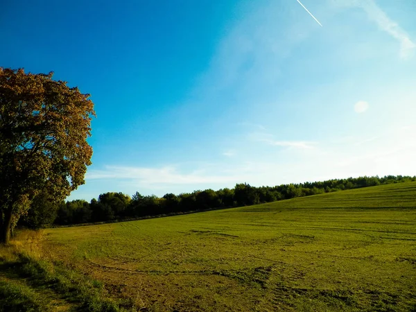 Yaz sonu - sonbahar ağaçları ve tarlalar. Polonya doğası. Mavi gökyüzündeki boşluğu kopyala. Mechelinki, Polonya.