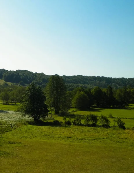 Forest and hills in Wiezyca, Kashubian Region, Poland. Green forest and hills of northern Poland.