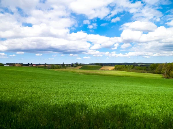 Zelená Pole Kopce Wiezyce Kašubský Kraj Wiezyca Turistická Oblast Polsku — Stock fotografie